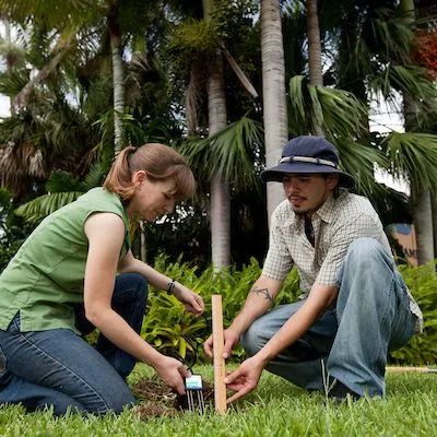 thumbnail for publication: How Do Floridians Perceive Their Role in Protecting Water Quality and Quantity Through Landscape Practices?